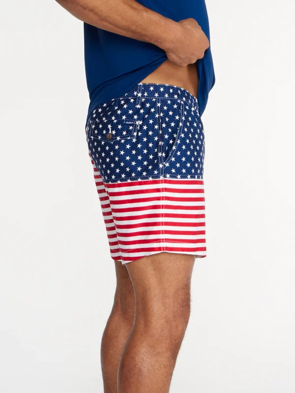 Chubbies 5.5in The Mericas Swim Trunks Signature Stag